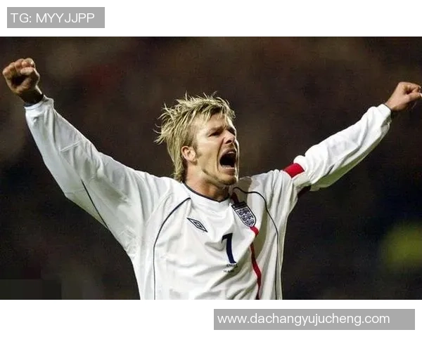 《从绿茵场到心灵深处:足球明星的自传与人生轨迹》 《从绿茵场到心灵深处:足球明星的自传与人生轨迹》