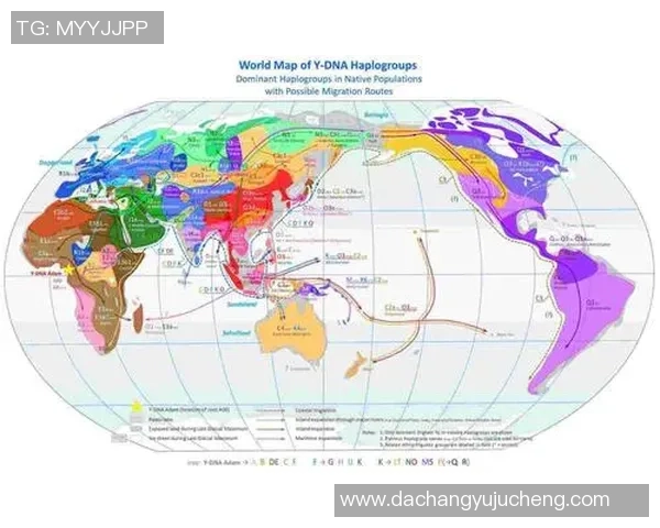 中日韩足坛三国群雄 男足球星实力对比与未来格局解析